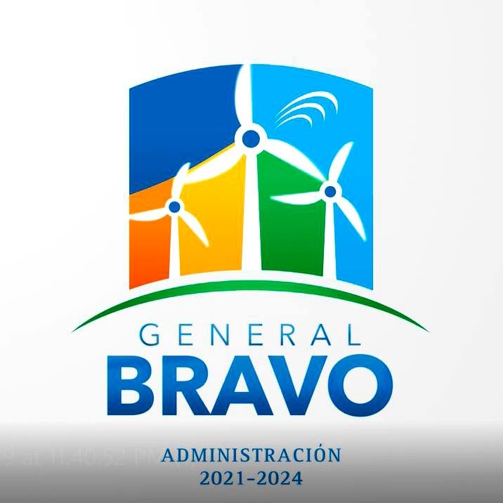 brave-2.jpg